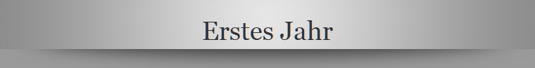 Erstes Jahr