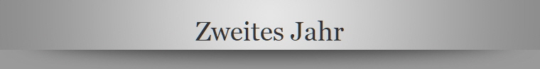 Zweites Jahr
